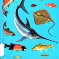 Cover Art for 9780307635082, Fishes: A guide to fresh and salt-water species (A Golden guide) by Herbert Spencer Zim