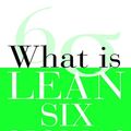 Cover Art for 9780071490351, What Is Lean Six SIGMA by David T Rowlands, Bill Kastle, Michael L George