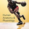 Cover Art for 9780133968224, Human Anatomy & Physiology (Marieb, Human Anatomy & Physiology) by Katja Hoehn Elaine N. Marieb