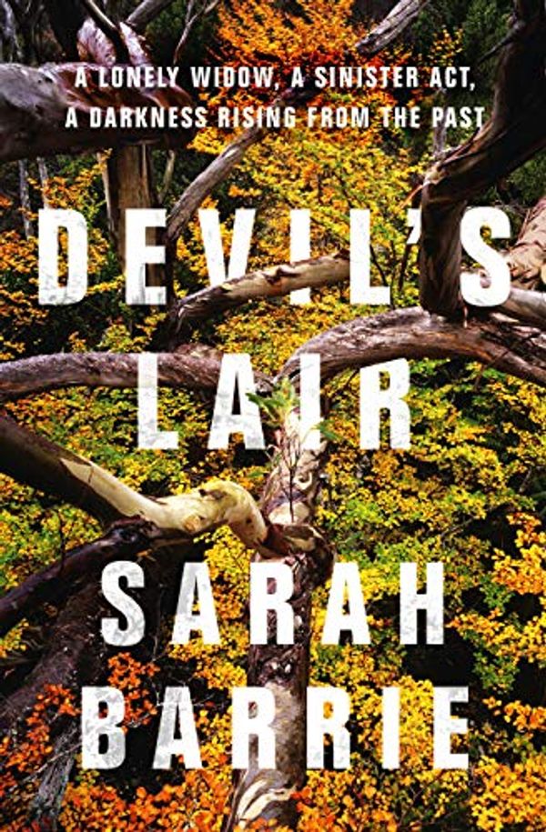 Cover Art for B07ML1YB95, Devil's Lair by Sarah Barrie