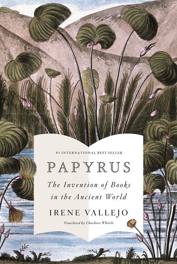 Cover Art for 9781529343960, Papyrus by Irene Vallejo