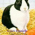 Cover Art for 9780340672853, Rabbit Race by Lucy Daniels