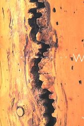 Cover Art for 9780688174330, Essence of Wood by Hilary Mandleberg