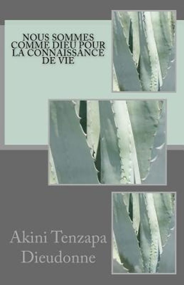 Cover Art for 9781523687985, Nous Sommes Comme Dieu Pour La Connaissance De Vie by Akini Tenzapa Dieudonne