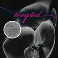 Cover Art for 9781743564134, Tempted by Megan Hart