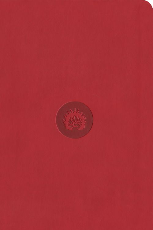 Cover Art for 9781642893496, ESV Reformation Study Bible, Student Edition - Red, Leather-Like by R. C. Sproul