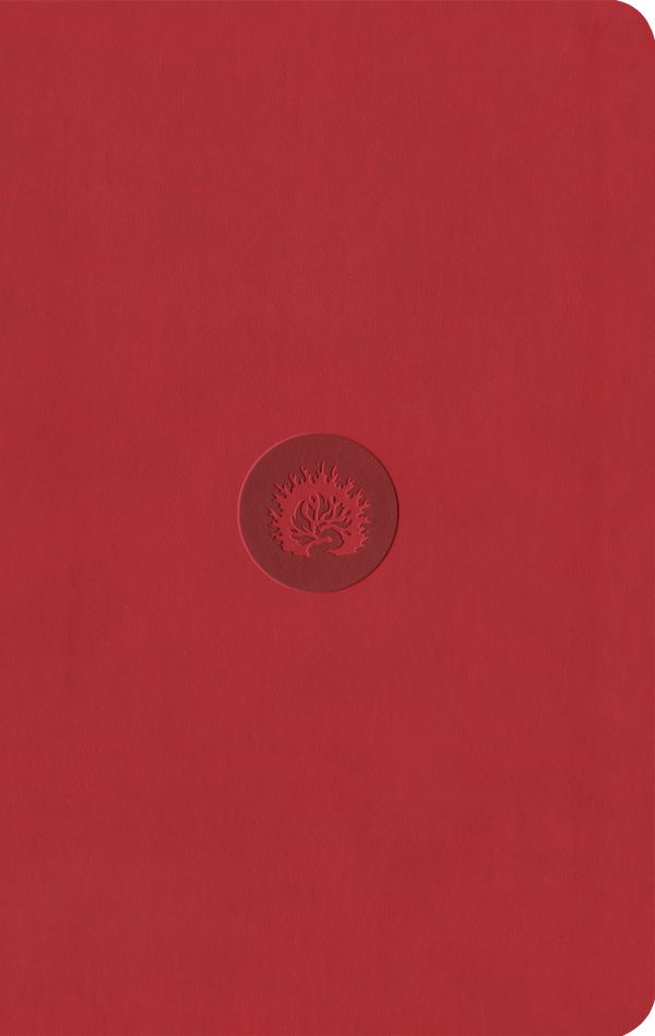 Cover Art for 9781642893496, ESV Reformation Study Bible, Student Edition - Red, Leather-Like by R. C. Sproul