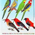 Cover Art for 9780947116996, Slater Field Guide to Australian Birds by Peter Slater