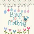 Cover Art for 9781907048418, Bump to Birthday, Pregnancy & First Year Journal by Helen Stephens