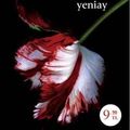 Cover Art for 9789944822114, Yeniay by Stephenie Meyer