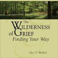 Cover Art for 9781879651524, Wilderness of Grief by Alan D. Wolfelt