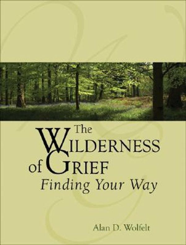 Cover Art for 9781879651524, Wilderness of Grief by Alan D. Wolfelt