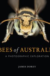 Cover Art for 9781486308491, Bees of AustraliaA Photographic Guide by James Dorey