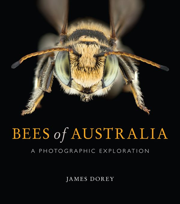 Cover Art for 9781486308491, Bees of AustraliaA Photographic Guide by James Dorey