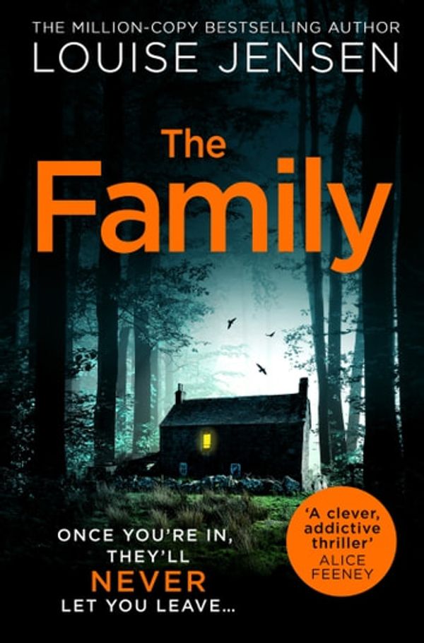 Cover Art for 9780008330118, The Family by Louise Jensen