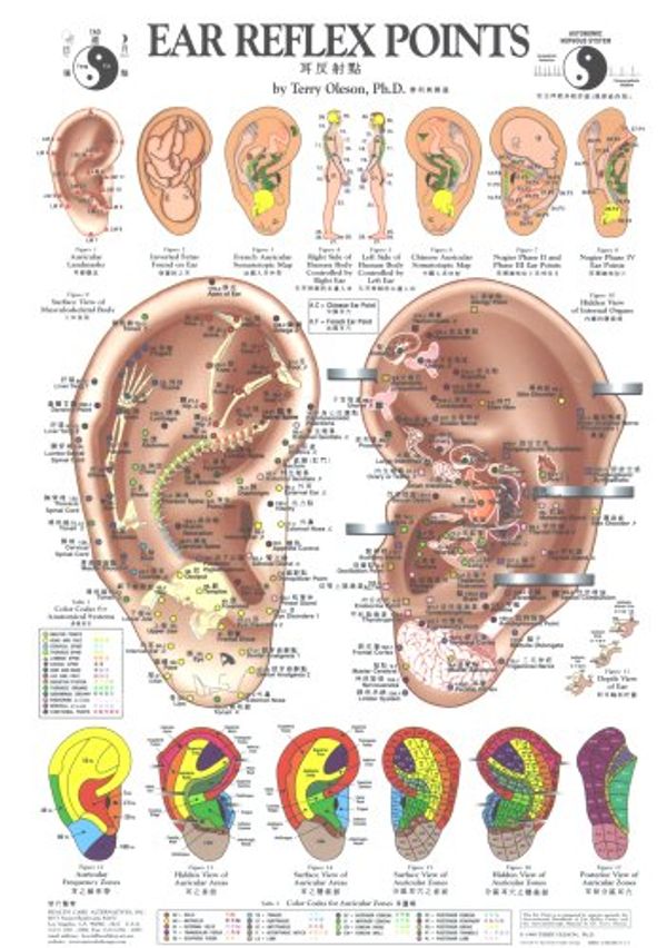 Cover Art for 9780962941580, Ear Reflex Points Chart by Terry Oleson