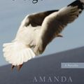 Cover Art for 9781863953191, Vertigo: A Novella by Amanda Lohrey