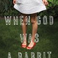 Cover Art for 9781608195374, When God Was a Rabbit by Sarah Winman