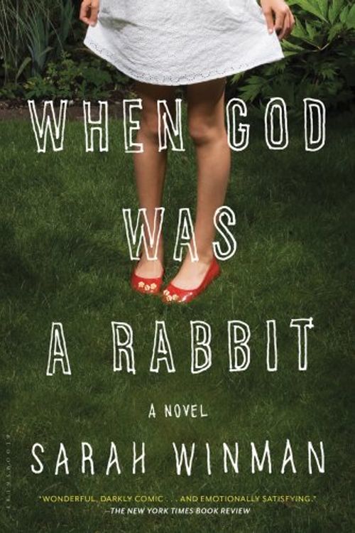 Cover Art for 9781608195374, When God Was a Rabbit by Sarah Winman