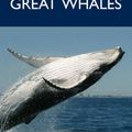 Cover Art for 9780643096196, Great Whales by John Bannister
