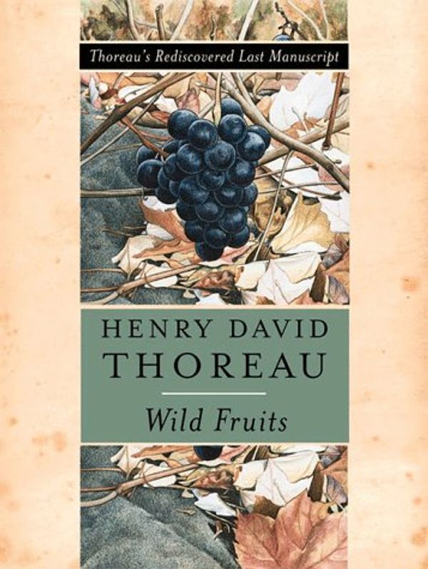 Cover Art for 9780393047516, Wild Fruits: Thoreau's Rediscovered Last Manuscript by Henry David Thoreau
