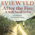 Cover Art for 9781448156641, After the Fire, A Still Small Voice by Evie Wyld, David Tredinnick