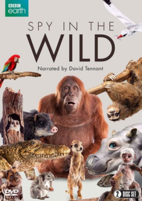 Cover Art for 5060352303858, Spy in the Wild (BBC) 2-disc [DVD] by Spirit Entertainment Limited