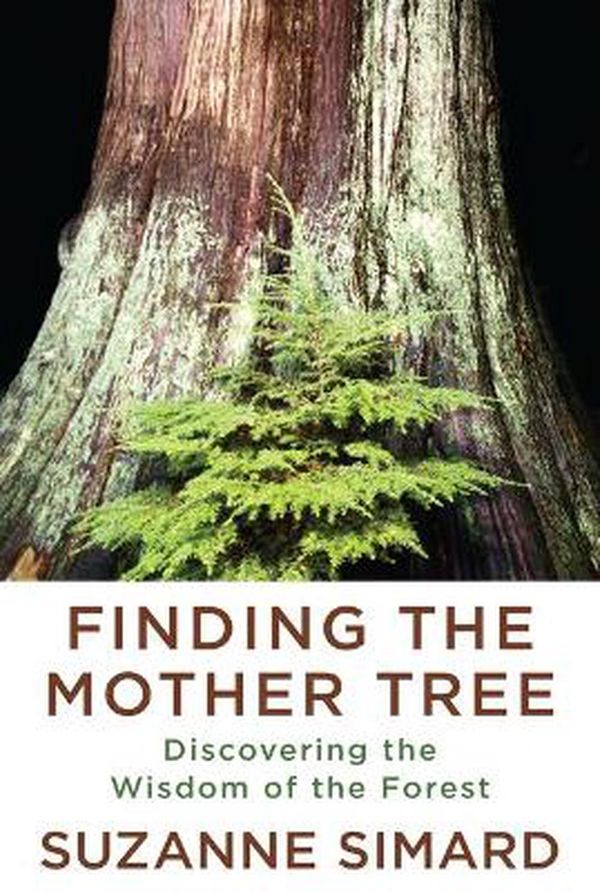 Cover Art for 9780525656098, Finding the Mother Tree: Discovering How the Forest Is Wired for Intelligence and Healing by Suzanne Simard