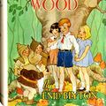 Cover Art for B08BK6HN97, The Enchanted wood by Blyton Enid