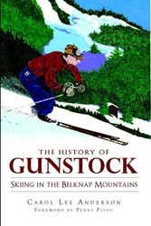 Cover Art for 9781609491369, The History of Gunstock by Carol Lee Anderson