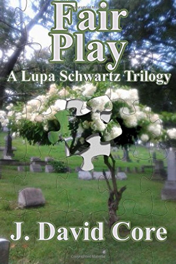 Cover Art for 9781500725990, Fair Play: A Lupa Schwartz Trilogy: 3 (The Lupa Schwartz Mysteries) by J David Core