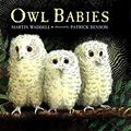 Cover Art for 0732483007107, Owl Babies by Martin Waddell