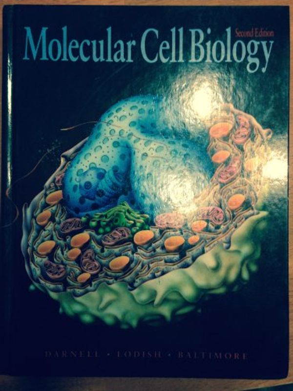 Cover Art for 9780716719816, Molecular Cell Biology by James E. Darnell, Harvey F. Lodish, David Baltimore