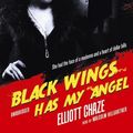 Cover Art for 9781433247309, Black Wings Has My Angel by Elliott Chaze