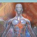 Cover Art for 9780684325200, Human Diseases and ConditionsHuman Diseases and Conditions by Miranda Herbert Ferrara