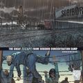 Cover Art for 9781474732178, Death Camp UprisingThe Escape from Sobibor Concentration Camp by Nel Yomtov