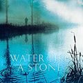 Cover Art for 9781405090544, Water Like a Stone by Deborah Crombie