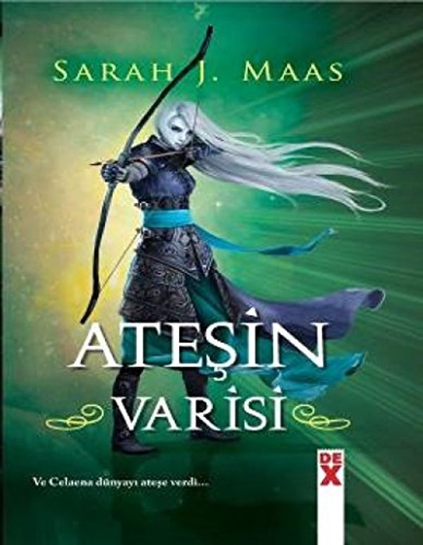 Cover Art for 9786050946864, Ateşin Varisi by Sarah J. Maas