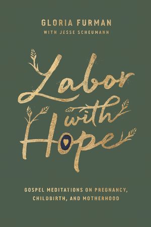 Cover Art for 9781433563072, Labor with Hope: Gospel Meditations on Pregnancy, Childbirth, and Motherhood by Gloria Furman