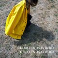 Cover Art for 9781776561186, Hera Lindsay Bird by Hera Lindsay Bird