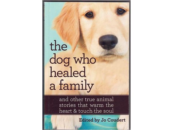 Cover Art for 9781921685972, The Dog Who Healed A Family by Jo Coudert