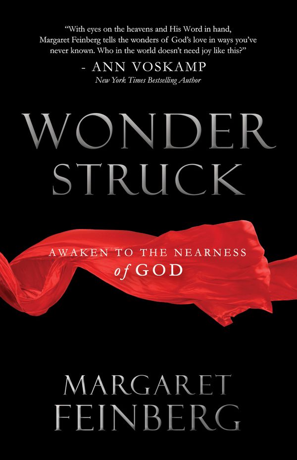 Cover Art for 9781617951503, Wonderstruck by Margaret Feinberg