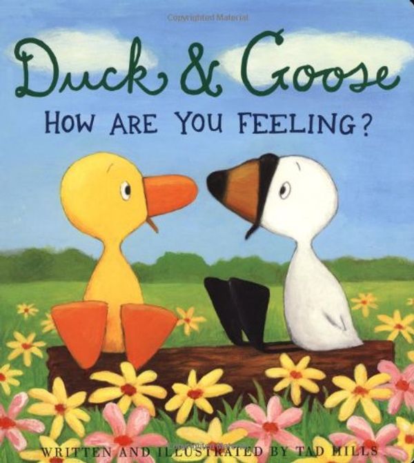 Cover Art for 9781907152078, Duck and Goose: How are You Feeling? by Tad Hills