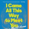 Cover Art for 9780063039810, I Came All This Way to Meet You by Jami Attenberg