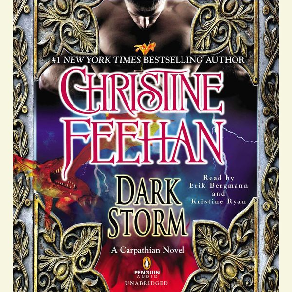 Cover Art for 9781101579701, Dark Storm by Christine Feehan, Erik Bergmann, Kristine Ryan