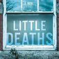 Cover Art for 9780316272483, Little Deaths by Emma Flint
