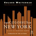 Cover Art for 9781440796708, The Colossus of New York by Colson Whitehead