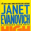 Cover Art for 9781417666539, High Five by Janet Evanovich
