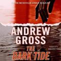 Cover Art for 9780061630170, The Dark Tide by Andrew Gross