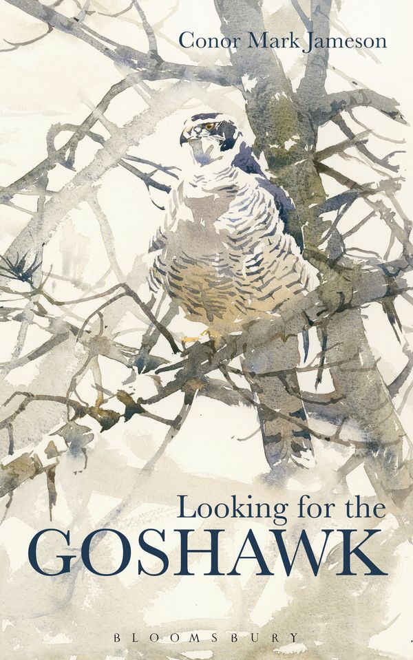 Cover Art for 9781408187029, Looking for the Goshawk by Conor Mark Jameson